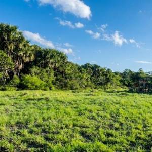 Venta de Terreno / Lote en Madre de Dios S/ 50,113,800