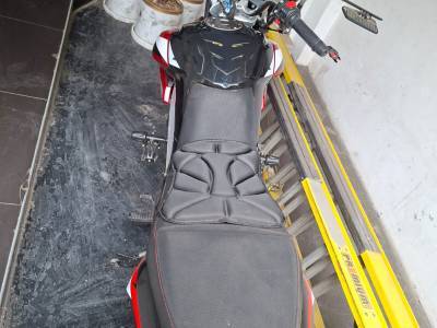 Kater&acute;s Tigger 200cc 2026