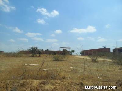 Vendo Terreno 360 m&sup2; en ADUS Sullana &ndash; 18 m de frente salida directa a la Panamericana