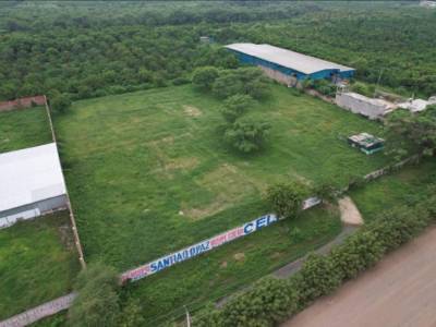 Terreno 10,000 m&sup2; carretera internacional piura - precio oportunidad -50%