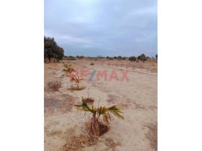 TERRENO URBANO EN VENTA
