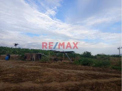 TERRENO AGR&Iacute;COLA EN VENTA